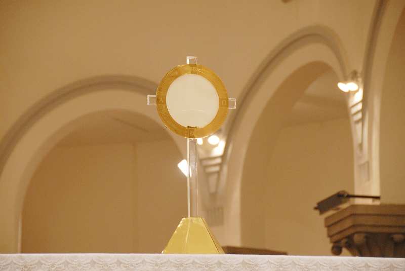 DSC (398)